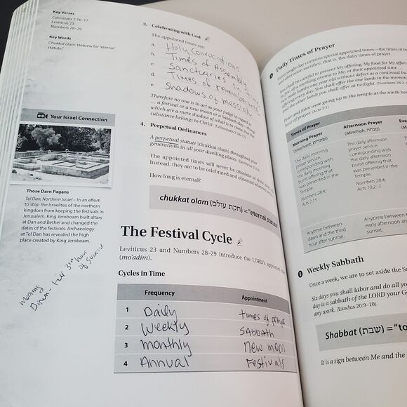 HaYesod The Foundation Student Workbook 9th Ed 2017, Boaz Michael - Ch 8-10 USED - Picture 9 of 13